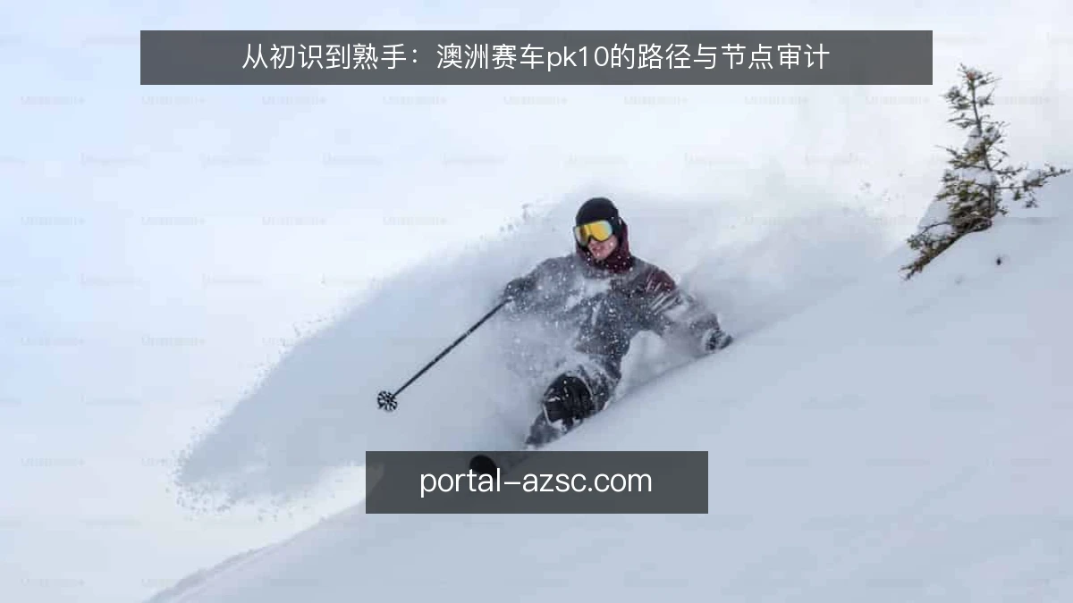 从初识到熟手：澳洲赛车pk10的路径与节点审计