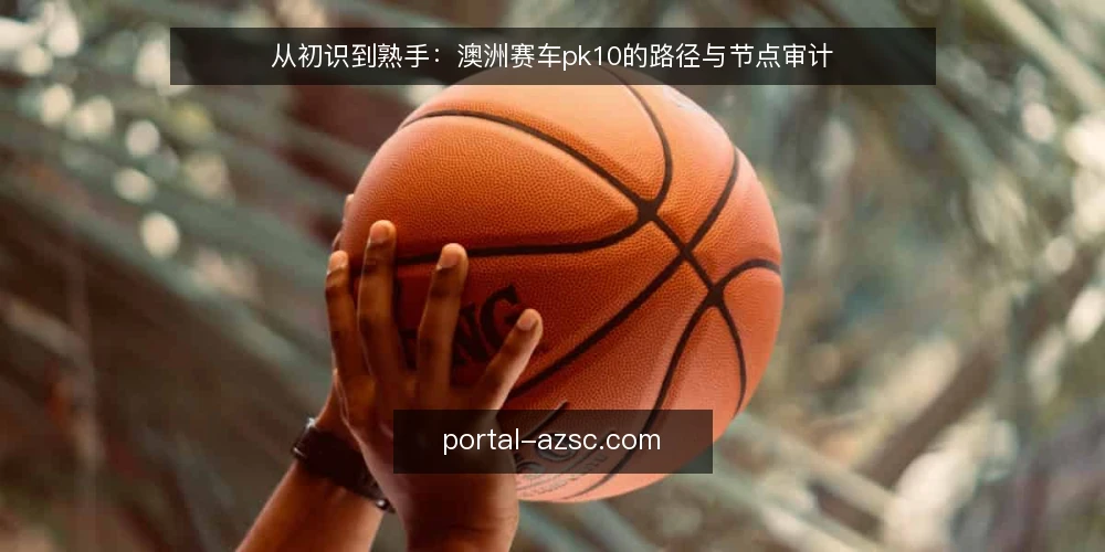 从初识到熟手:澳洲赛车pk10的路径与节点审计 — 为什么现在需要一次路径审计 配图